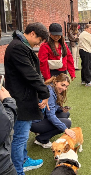 Dog owners interacting with dogs at the Park-9 event, trying CaniBrush
